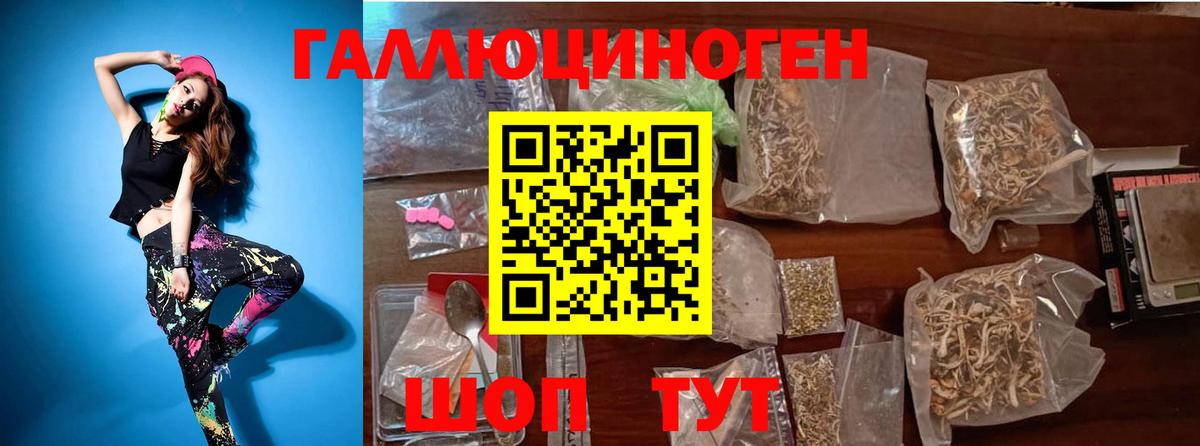 Галлюциногенные грибы прущие грибы  Вход с VPN  Урюпинск  Галлюциногенные грибы Cubensis 
